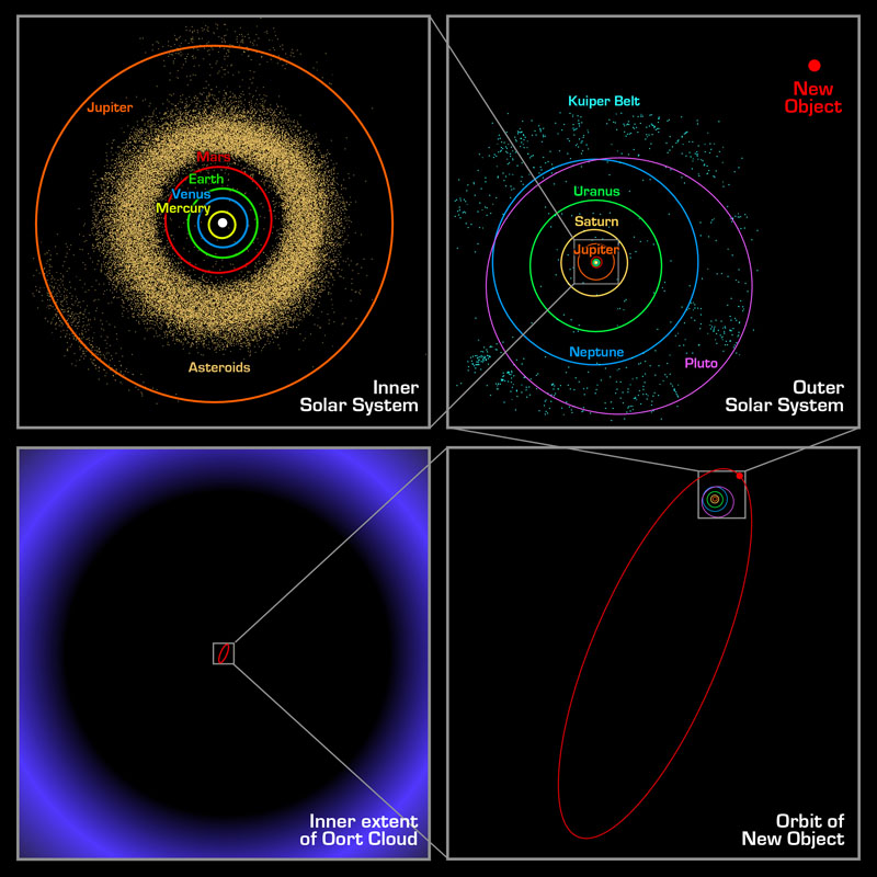 Sedna's Orbit