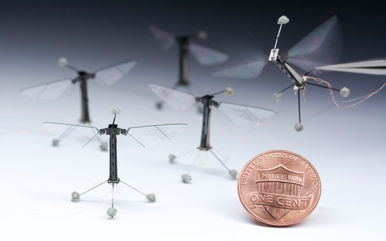 Robot Bees Have Arrived