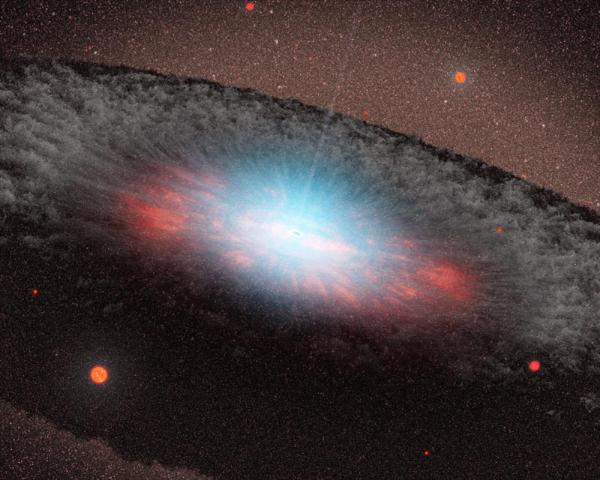 What Are Planck Stars? How Do They Differ From Black Holes?