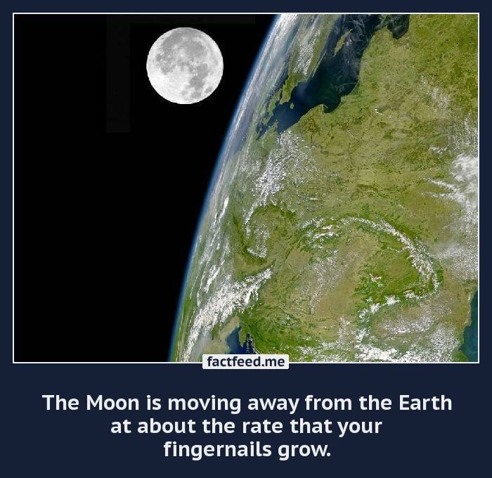 If the Universe in Expanding, Why isn’t the Moon Receding from Earth?