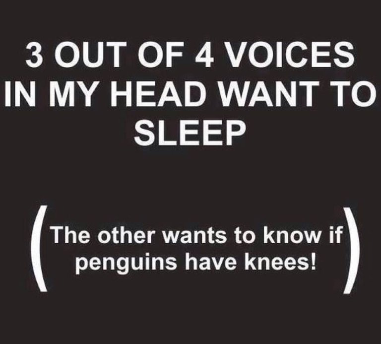 Midnight Musings: Do Penguins have Knees?