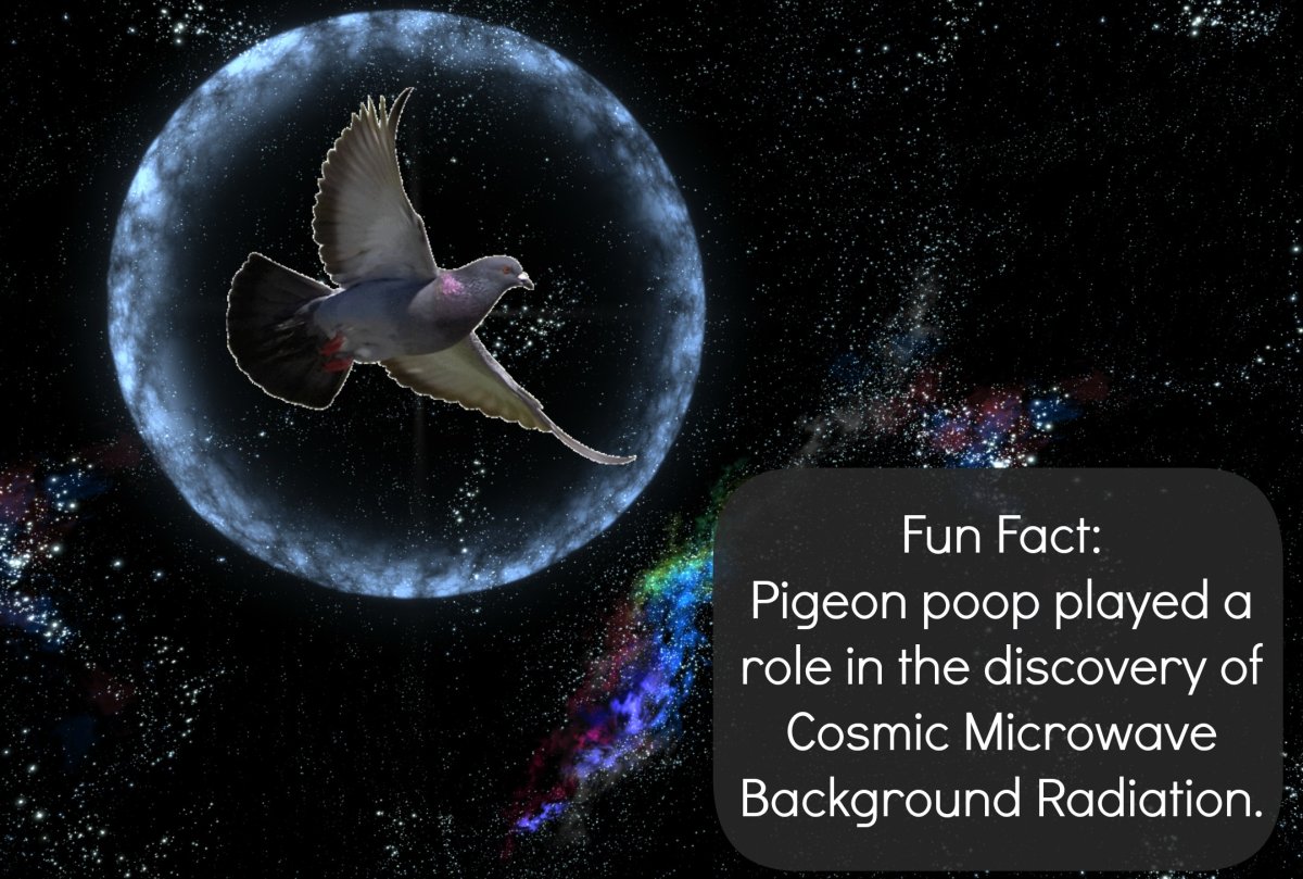 Bird Poop's Role in Revolutionizing Our Understanding of Space: