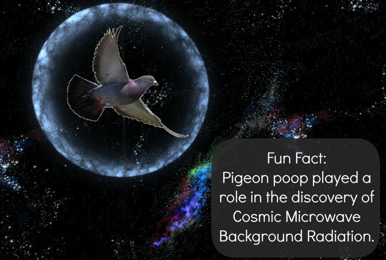 Bird Poop’s Role in Revolutionizing Our Understanding of Space:
