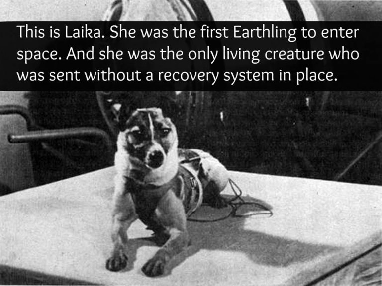 Laika: The First Earthling in Space