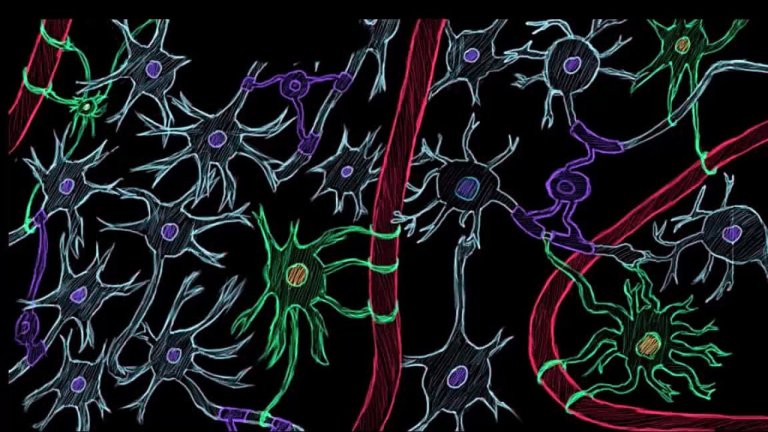 Doctors Finally Penetrate the Blood-Brain Barrier in Revolutionary Treatment for Tumors