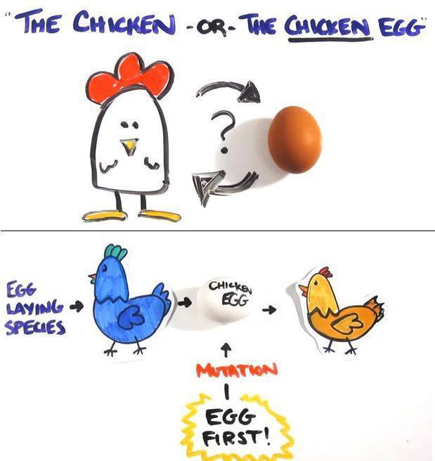 Which came First: The Chicken or the Egg?