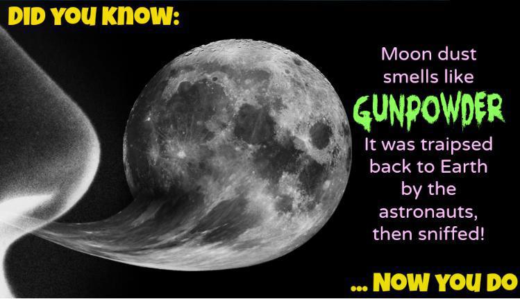 Did You Know: How the Moon Smells