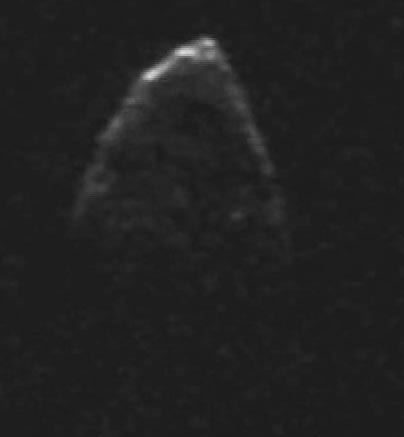 Gravity-defying Near-Earth Asteroid Held Together by Cohesive Forces