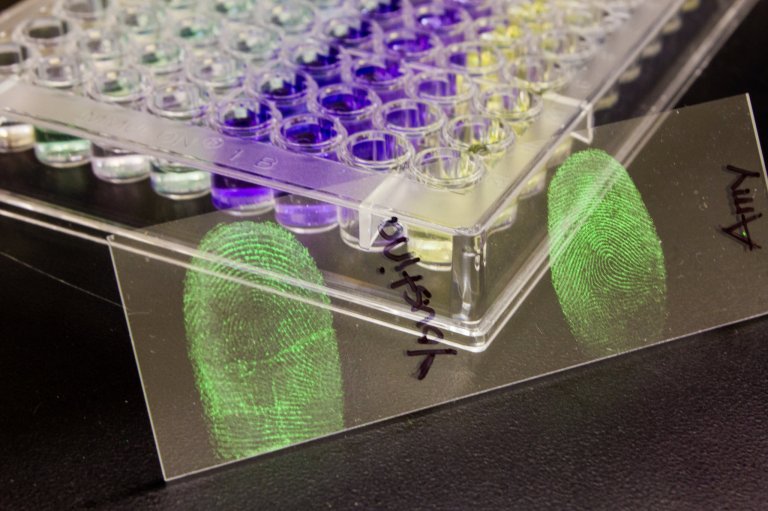 You Can Now Identify a Person’s Sex Based On Fingerprints