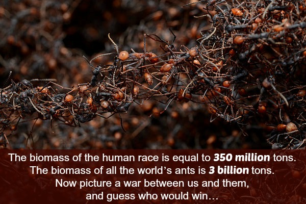 Who Really Dominates the Earth?