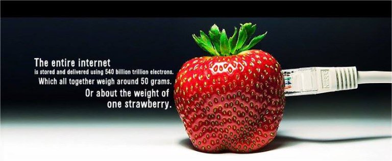 The World Contained in a Strawberry: