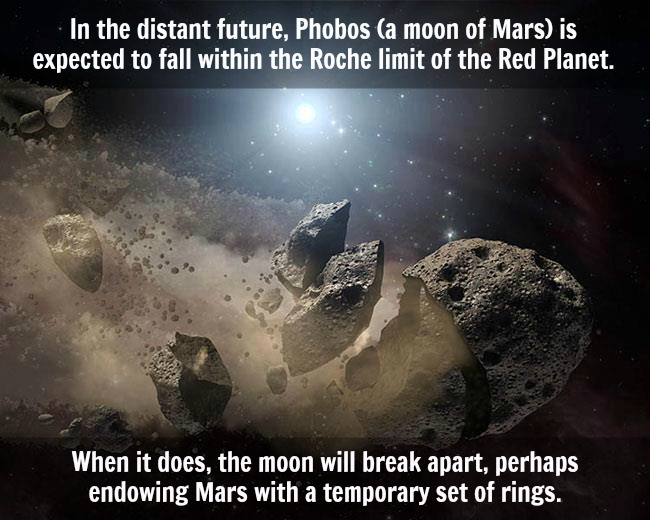 The Roche Limit