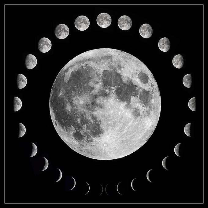 Lunar Phase Calendar