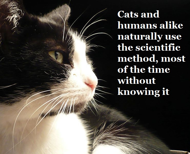 What is the Scientific Method (an explanation using Cats):