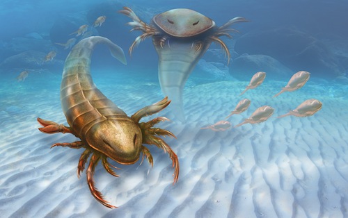 Meet Pentecopterus, the Newly-discovered Monster of the Ancient Seas