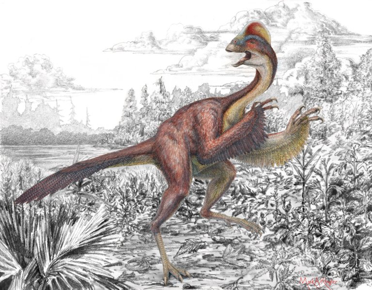 Scientists Discover a New Dinosaur, Dubbed the “Chicken from Hell”: