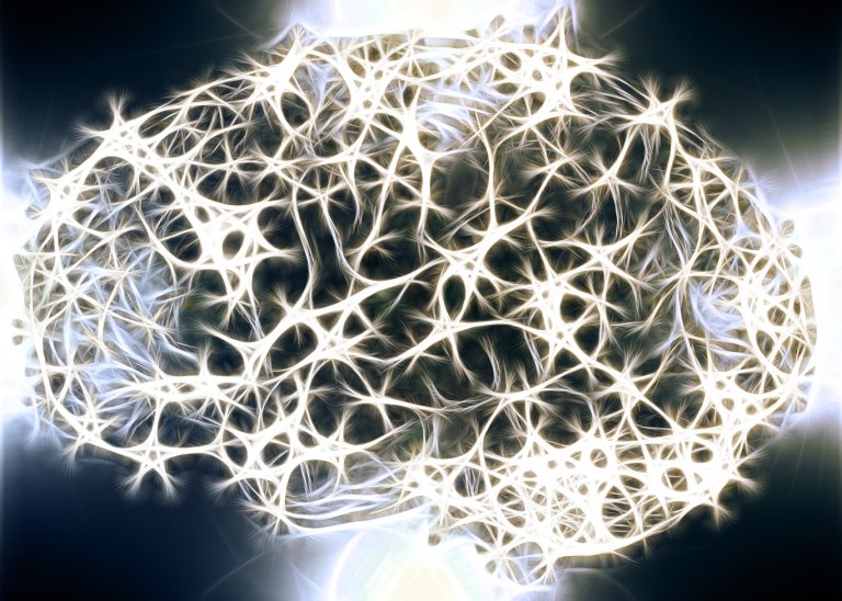 How Does The Brain Reconstruct the Visual World?