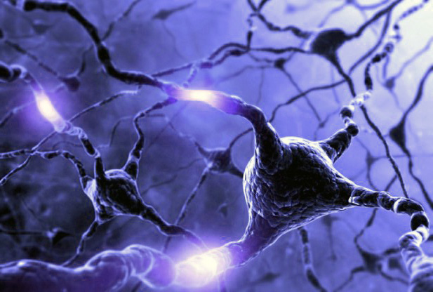 Active Brain Stimulation Shown to Help Tackle Obesity