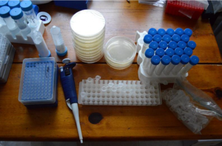 You Can Now Use CRISPR for Genome Engineering at Home
