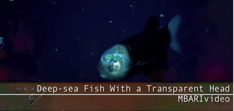 Watch: 10 Reasons To Love Science According to Neil deGrasse Tyson