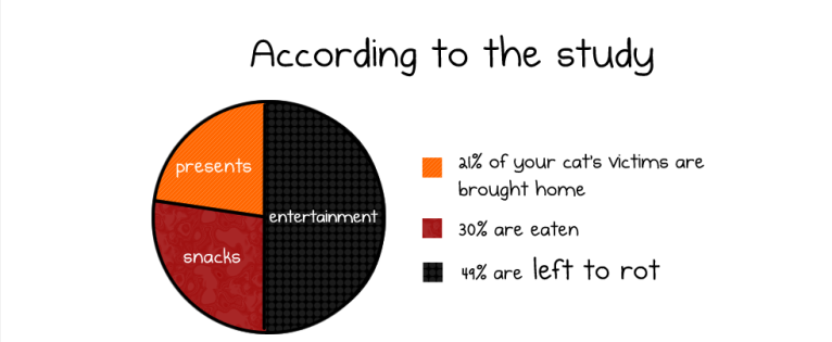 Here’s How Much Your Pet Cat Kills (infographic)
