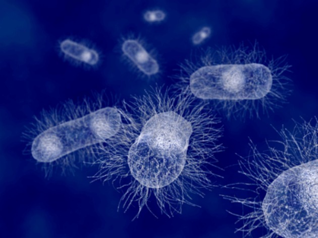 Detecting Extraterrestrial Life From Its Vibrations
