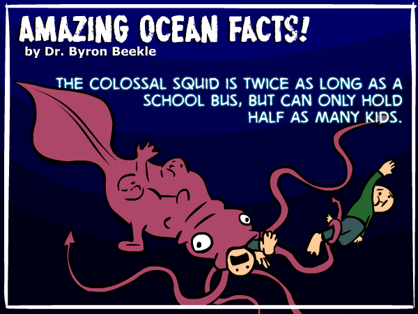 The Modern Day Kraken: Meet Earth’s Colossal Squid