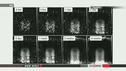 Particle Physics Glimpses Inwards of Fukushima Meltdown Site