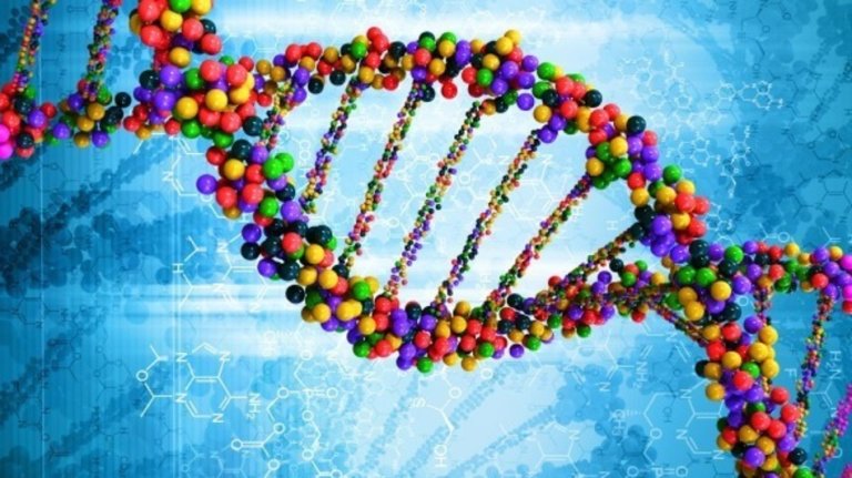This New Technique Makes Rewriting the Genetic Code of Living Organisms Much Easier