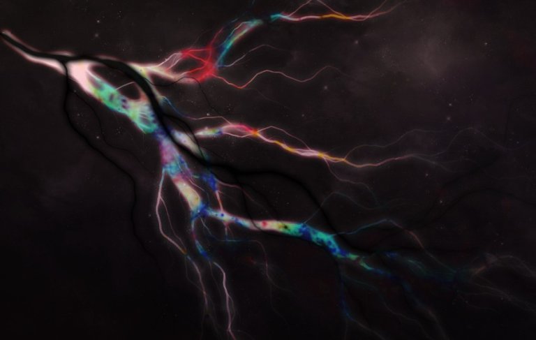 Dark Lightning: Fact or Fiction?
