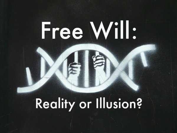 The Science of Free Will