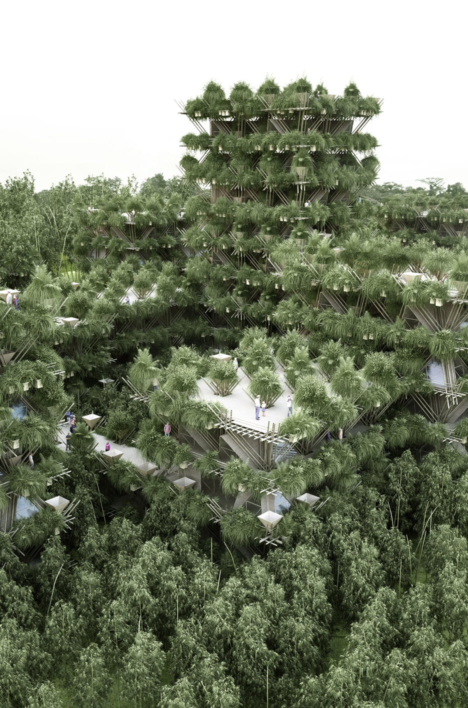 bamboo city