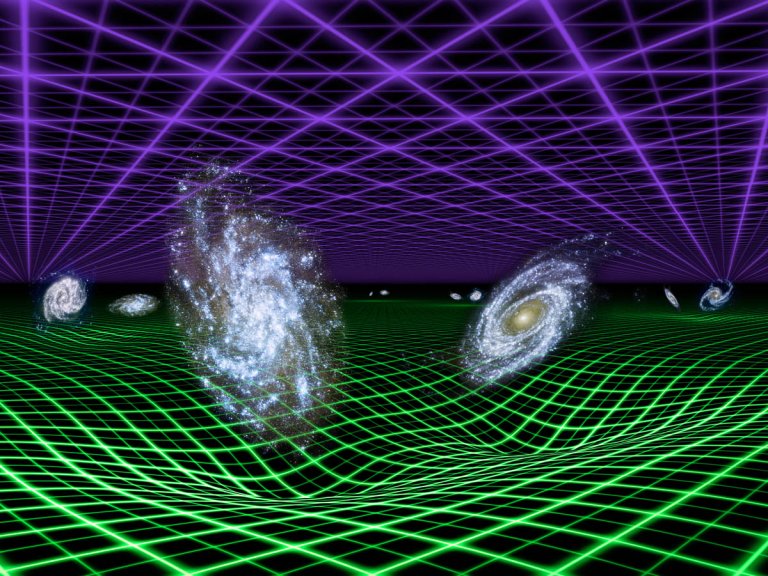 Decoding the Gravitational Evolution of Dark Matter Halos