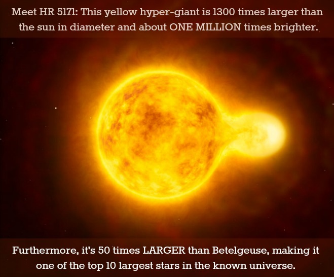 Introducing: The Newest Member of the “Ten Largest Stars in the Known Universe”