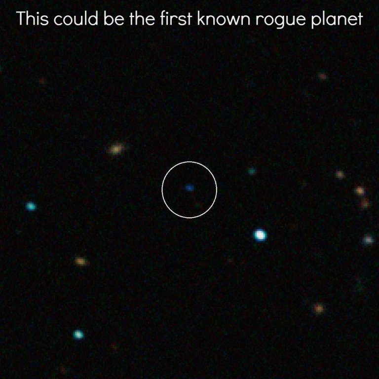 Have We Found a Rogue Planet?