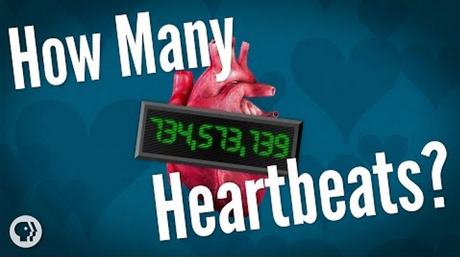 On Average, How Many Heartbeats Do We Get?