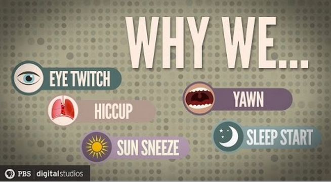 5 Weird Involuntary Behaviors Explained (Video)