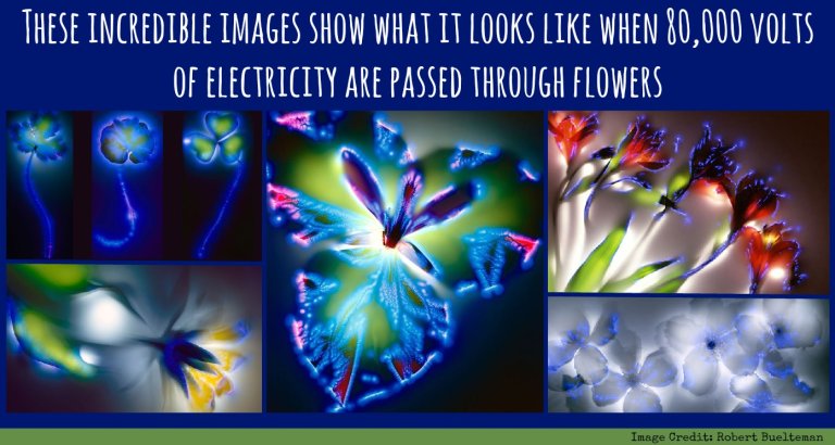 Kirlian Photography: It’s Electrifying!