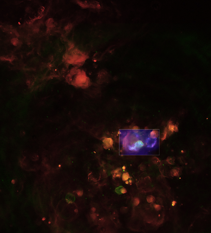 Astronomy Photo of the Day: 5/11/15 — LHa115-N19