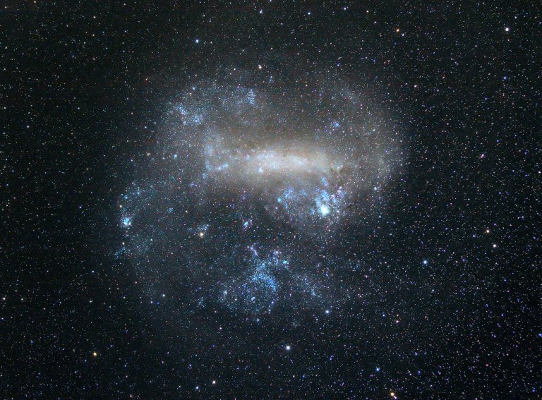 The Large Magellanic Cloud