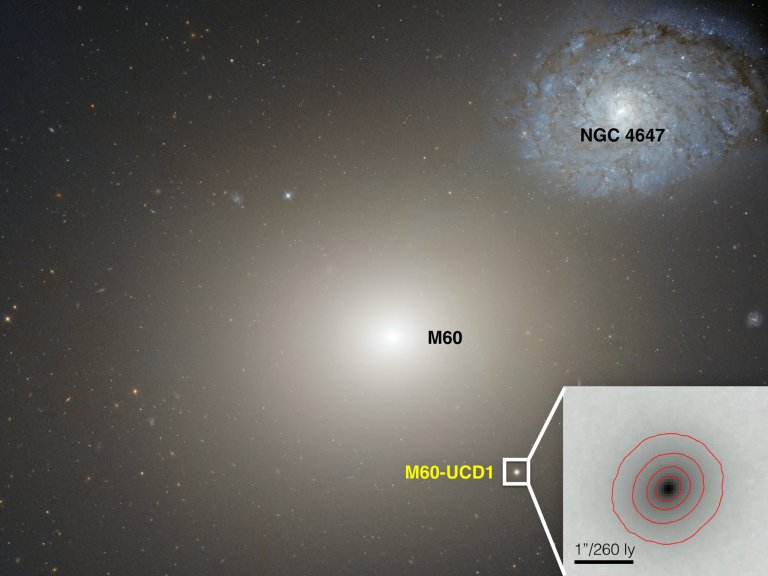 Smallest Known Galaxy with a Supermassive Black Hole