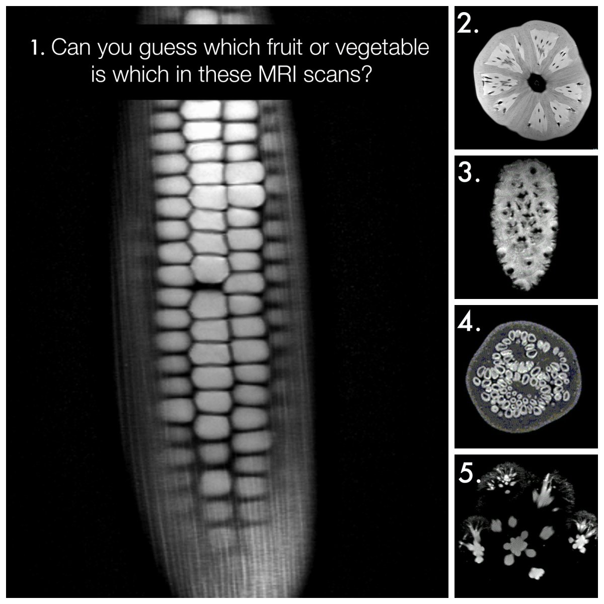 Guess the food from the MRI.