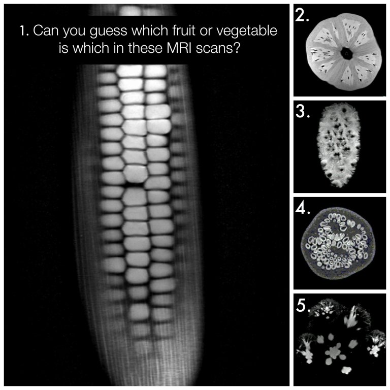 Guess the food from the MRI.