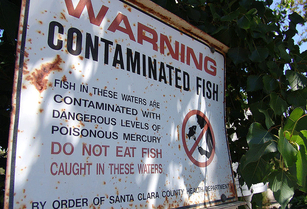 Algae: An Ally Against Heavy Metal Pollution