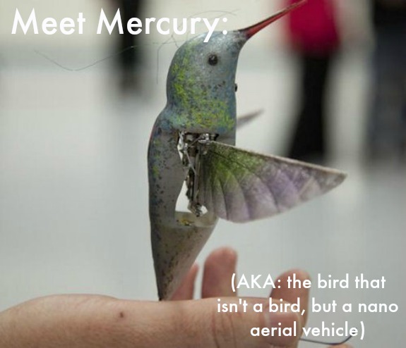 The Nano Hummingbird: The Next Step Forward in Simulated Flight?