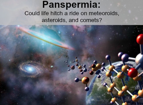 Extremophiles, Comets, and Alien Organisms: How did life on Earth Begin?