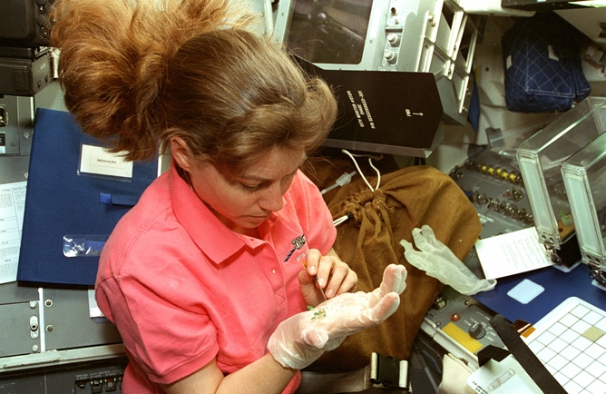 How Do We Grow Plants in Space?