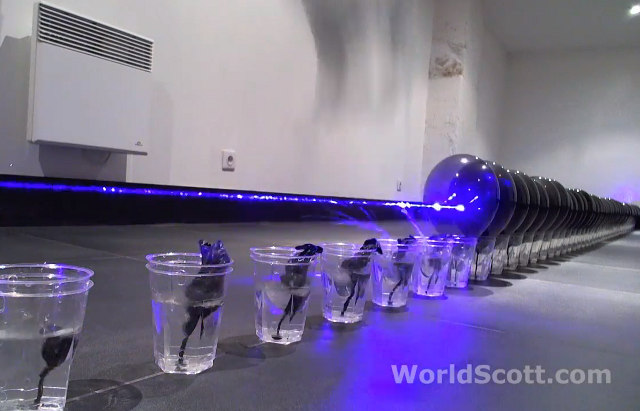 Watch A Repurposed Blu-Ray Laser Bust 100 Balloons In One Shot (Video)