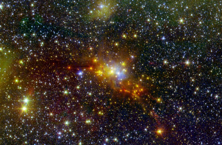 Giving Birth to the Serpent’s Stars