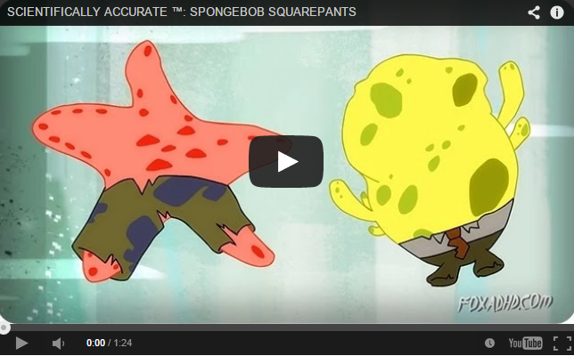 A Scientifically Accurate Spongebob Squarepants (Video)